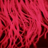 Strucctoll rojt 15-18 cm hosszú